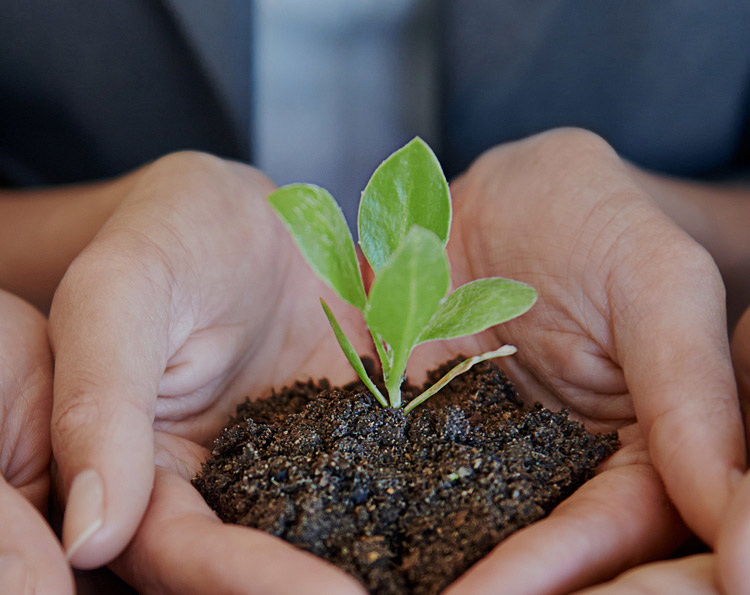 国产色XX群视频射精