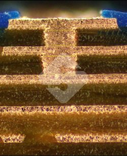 国产色XX群视频射精