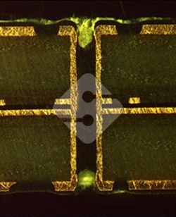 国产色XX群视频射精