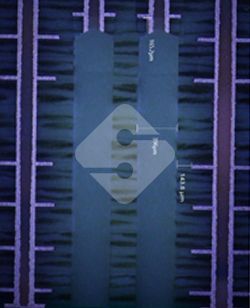 国产色XX群视频射精