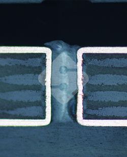 国产色XX群视频射精