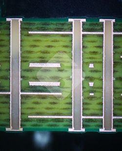 国产色XX群视频射精