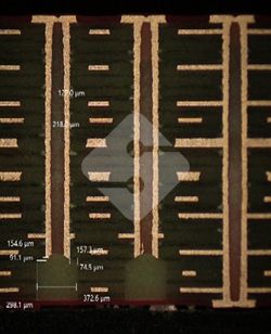 国产色XX群视频射精