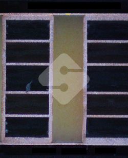 国产色XX群视频射精