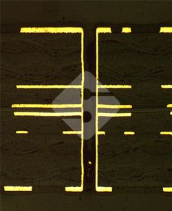 国产色XX群视频射精