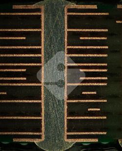 国产色XX群视频射精