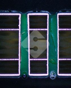 国产色XX群视频射精