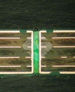 国产色XX群视频射精