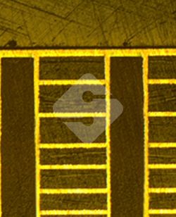 国产色XX群视频射精