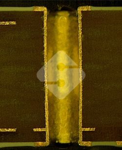 国产色XX群视频射精