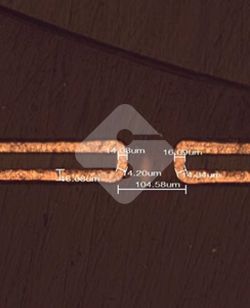 国产色XX群视频射精