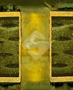 国产色XX群视频射精