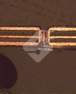 国产色XX群视频射精