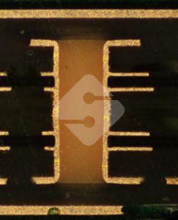 国产色XX群视频射精