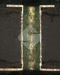 国产色XX群视频射精