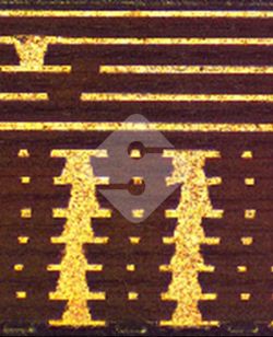 国产色XX群视频射精