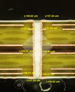 国产色XX群视频射精