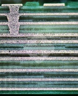 国产色XX群视频射精