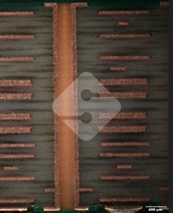 国产色XX群视频射精