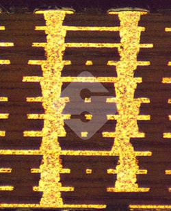 国产色XX群视频射精