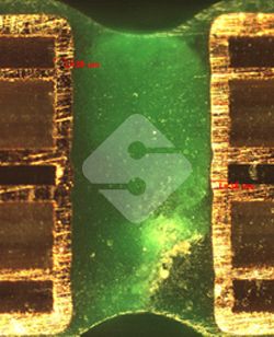 国产色XX群视频射精