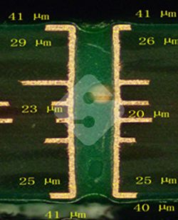 国产色XX群视频射精