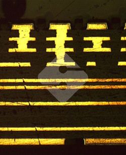 国产色XX群视频射精