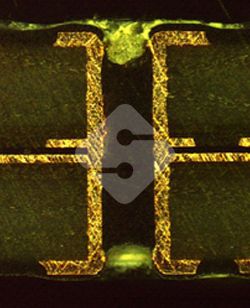 国产色XX群视频射精