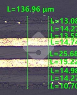 国产色XX群视频射精