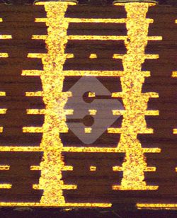 国产色XX群视频射精