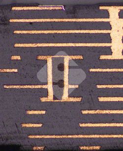 国产色XX群视频射精